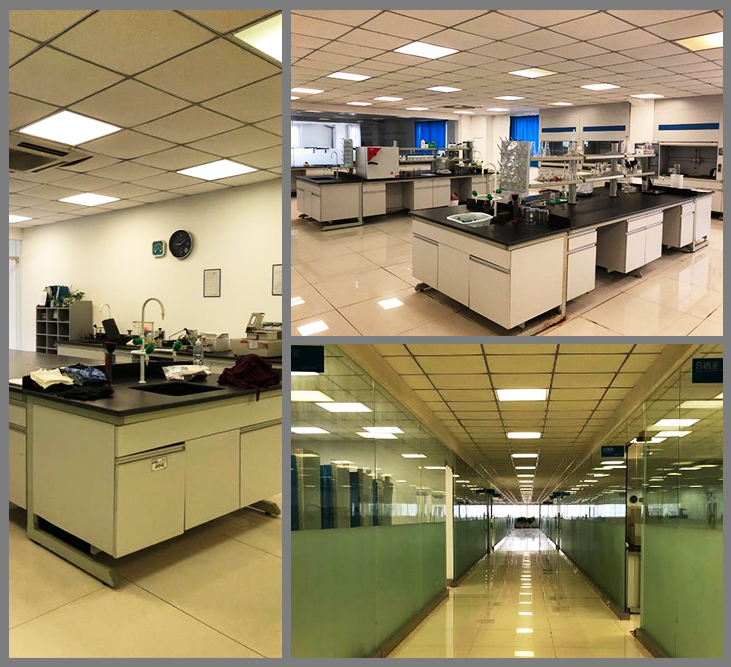 Lab workbenches and a glass-walled corridor at the group's Fuzhou facility