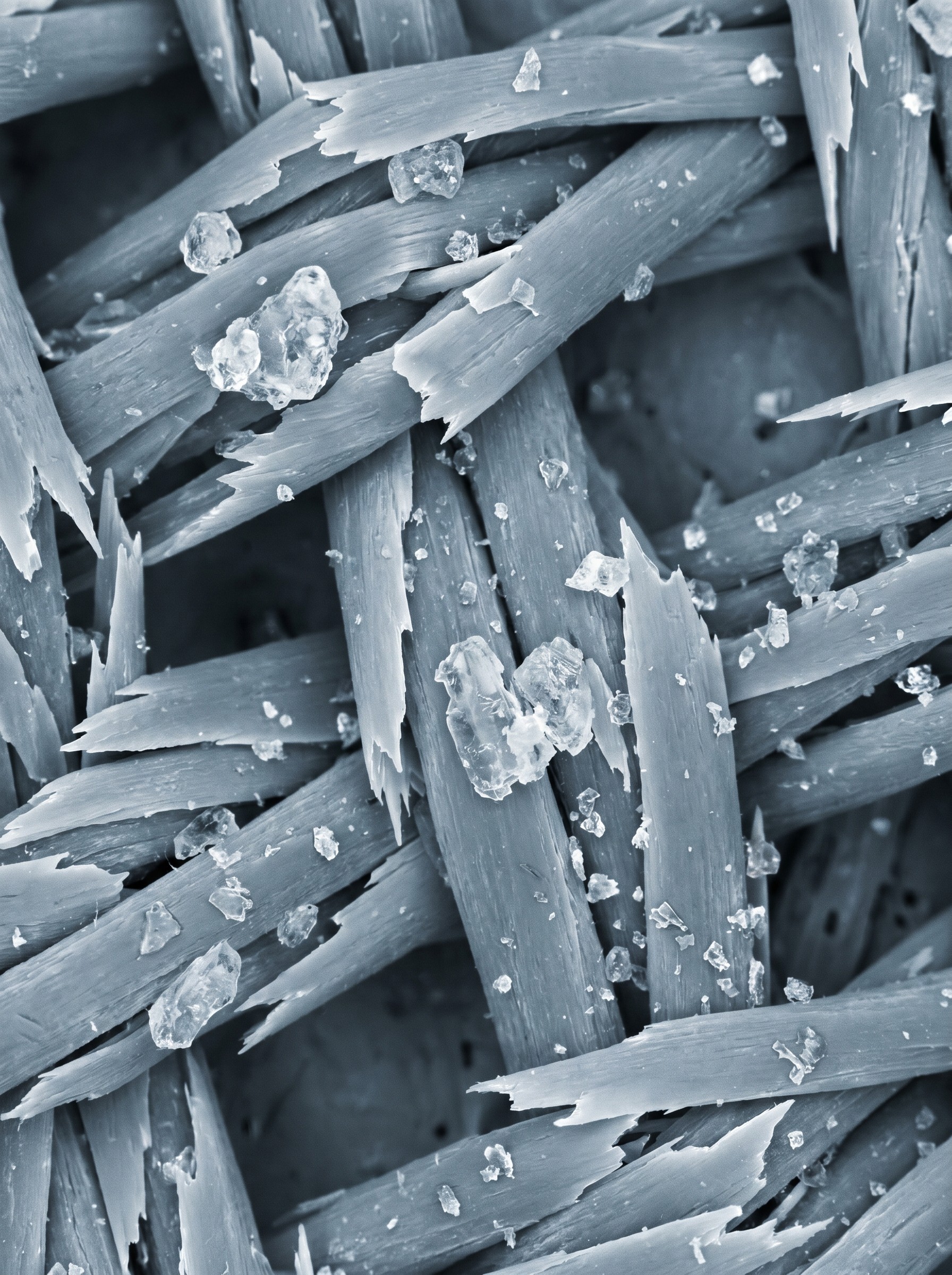 Macro detail of a technical fiber structure